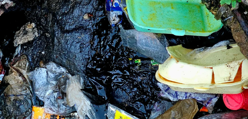 Clogged Gutter Debris